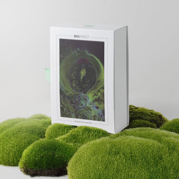 セラム＆クリーム モイスチャーセット